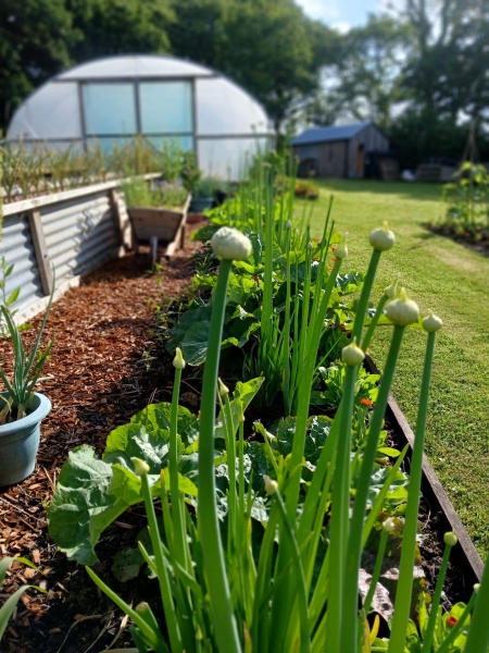 Willow Glade Farm